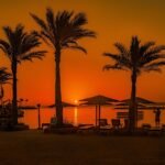 sunset, palm trees, beach, africa, egypt, sand, hurghada, red sea, nature, water, sea, summer, tourism, travel, lounger