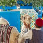 A vibrant scene in La Marsa, Tunisia featuring a camel and local traditions.